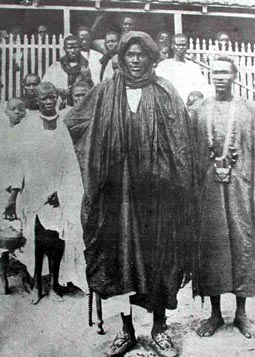mame cheikhe ibra fall